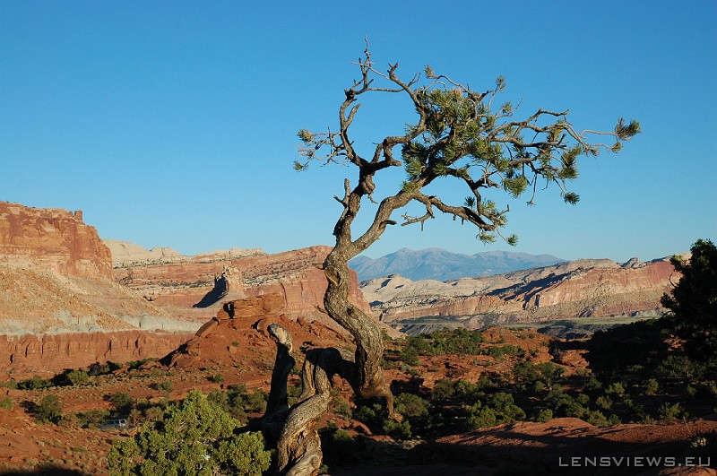 Capitol Reef 04 